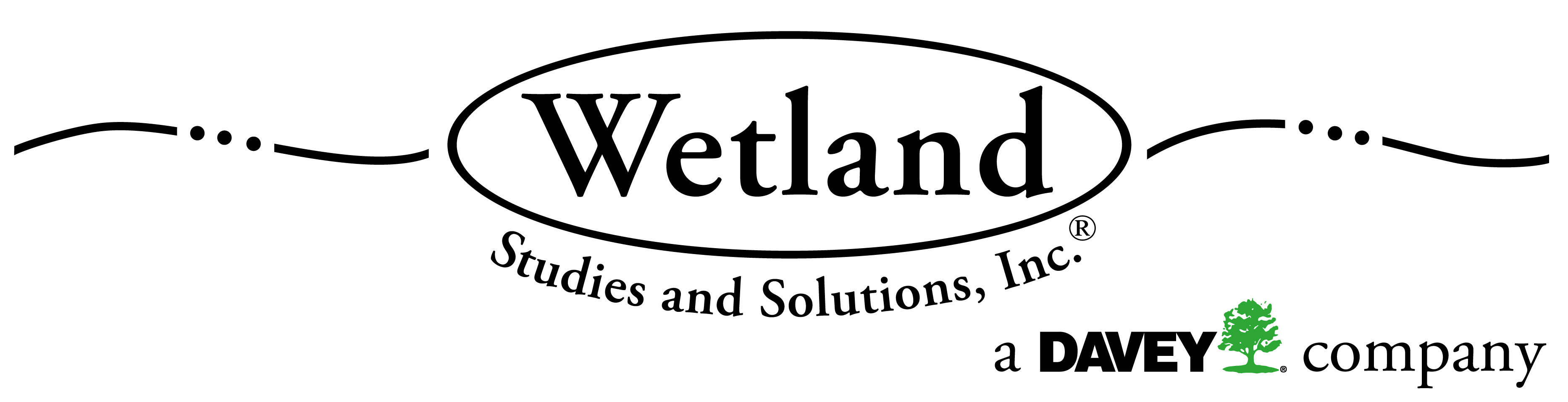 Wetland Studies and Solutions, Inc.
